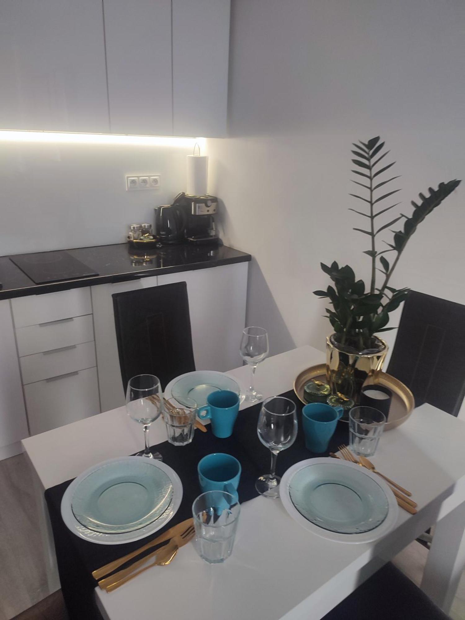 Apartament Lux W Centrum Konina コニン エクステリア 写真